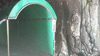【坂井市】雄島トンネルの画像