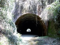 【飯能市】畑トンネルの画像