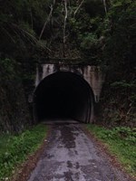 【岐阜県】二股トンネル（朝鮮トンネル）の画像
