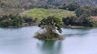 【鳥取県】多鯰ヶ池の画像