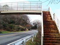 【静岡市】日本平パークウェイの歩道橋の画像