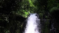 【阿蘇郡西原村】白糸の滝の画像
