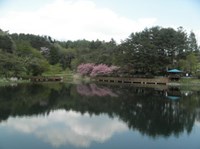 【北杜市】すずらん池の画像
