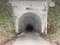 【上山市】山元トンネルの画像