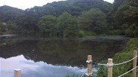 【新潟市】秋葉湖の画像