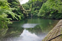 【鎌倉市】散在ガ池森林公園(鎌倉湖)の画像