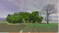 【鹿児島県】鹿屋市横山町切小田の墓地の近くの雑木林の画像