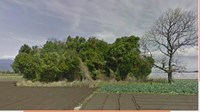 【鹿児島県】鹿屋市横山町切小田の墓地の近くの雑木林の画像