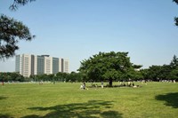 武蔵野中央公園