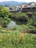 【愛媛県】原池の画像