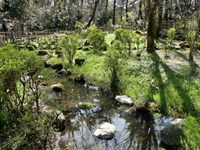 【新潟市】じゅんさい池公園の画像