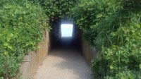 【新潟県】少女絵トンネルの画像