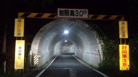 紫陽花トンネル