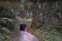 【魚沼市】柳澤隧道の画像