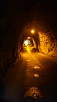 【君津市】奥米トンネルの画像
