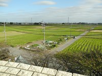 【埼玉県】エローラ風車の画像
