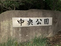 【神奈川県】茅ヶ崎市立中央公園の画像
