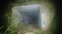 【鉾田市】塔ヶ崎隧道の画像