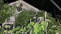 【広島県】六芒星の家の画像