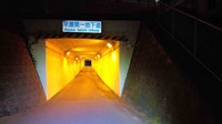 【戸田市】早瀬第一地下道の画像