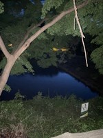 【東京都】宅部池（たっちゃん池）の画像
