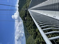 【東諸県郡綾町】照葉大吊橋の画像