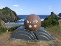 【鹿児島県】ホノホシ海岸の丸石の画像