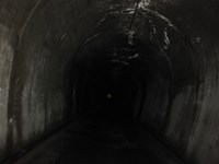 【鳥取県】本谷隧道の画像