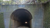 桜井隧道(旧秋山トンネル)