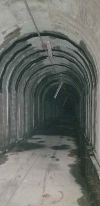 【能美市】旧無患子トンネルの画像