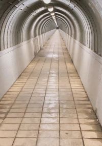 【横浜市】大原隧道の画像