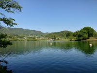 【甲府市】千代田湖の画像