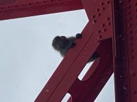 【東京都】峰谷橋の画像