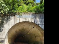 【鳥取県】勝谷トンネルの画像