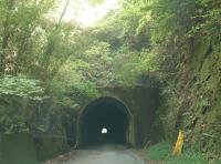 【千葉県】原田山トンネル(岩井の化けトン)の画像