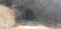 【津市】旧総谷トンネルの画像