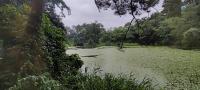 【新潟県】じゅんさい池公園の画像