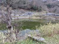 【岡山県】霊園の溜池の画像