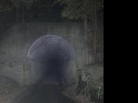 【指宿市】開聞トンネルの画像