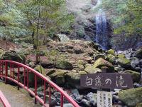 【三重県】白藤の滝の画像