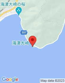 【高島市】海津大崎のトンネルの画像