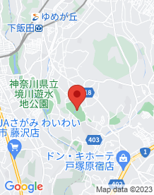 【神奈川県】旧横浜ドリームランド（俣野公園）の画像