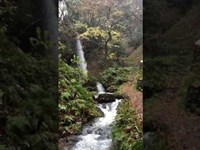 新潟　白玉の滝　上段　心霊スポット