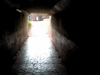 鈴鹿青少年の森のトンネル動画
