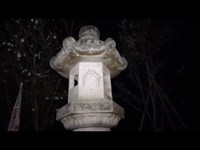 【夜間の公園探索動画 / SONY FDR-AX55】 六角堂で有名な前田公園 （愛知県豊田市）を探索してみた