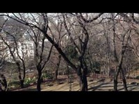 戸山公園～箱根山