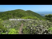 御霊櫃峠から額取山へプチ縦走(2013.06.04)