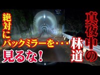 【JB64新型ジムニー】真夜中の林道!犬鳴山の心霊トンネルで絶対にバックミラーを見るな!