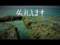 久米島の水たまりをのぞくだけの動画【2019久米島#4】