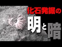 化石発掘の明と暗 Lucky and Unlucky of fossil excavation